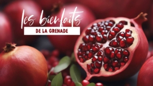 les bienfaits de la grenade sur le corps