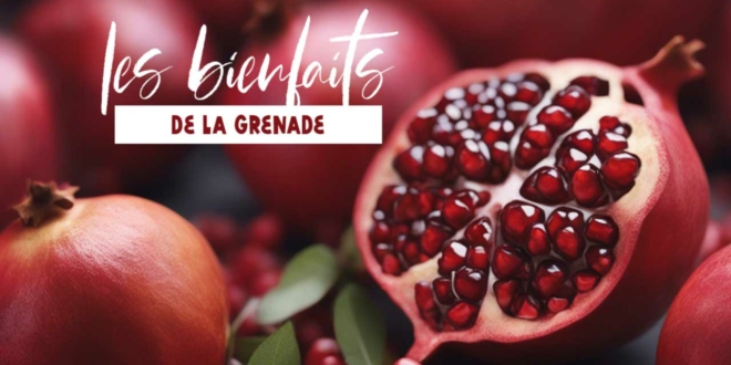 les bienfaits de la grenade sur le corps