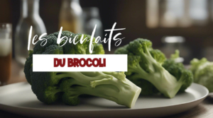 Tout savoir sur les bienfaits du brocoli sur la santé