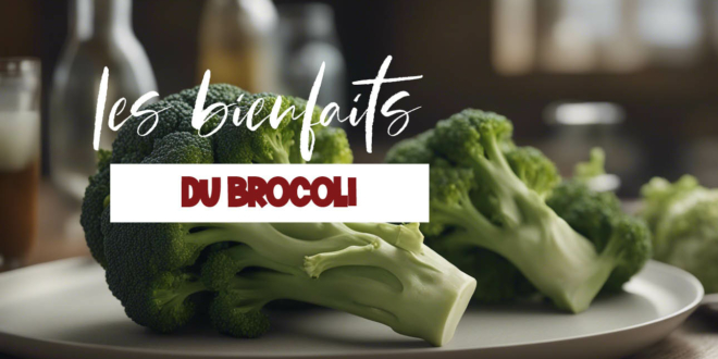 Tout savoir sur les bienfaits du brocoli sur la santé