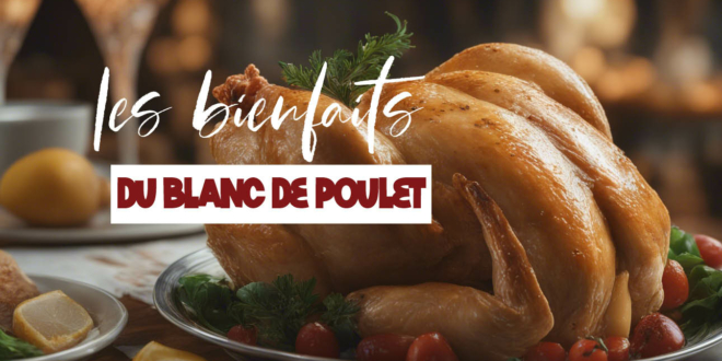 Tout savoir sur les bienfaits du blanc de poulet sur la santé