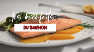 Tout savoir sur les bienfaits du saumon sur la santé