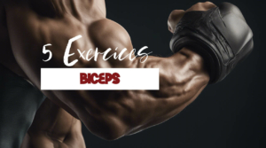 5 exercices pour muscler les biceps