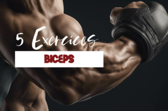 5 exercices pour muscler les biceps