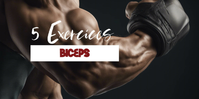 5 exercices pour muscler les biceps