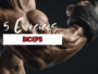 5 exercices pour muscler les biceps