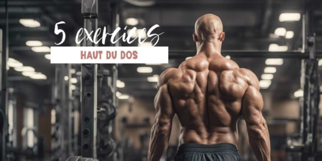 5 exercices musculation haut du dos