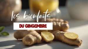 Tout savoir sur les bienfaits du gingembre sur la santé