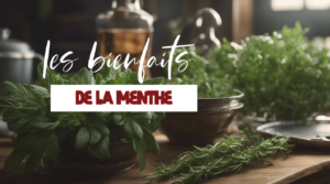 Tout savoir sur les bienfaits de la menthe sur la santé
