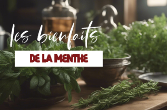 Tout savoir sur les bienfaits de la menthe sur la santé