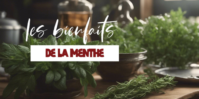 Tout savoir sur les bienfaits de la menthe sur la santé