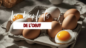 Tout savoir sur les bienfaits de l'oeuf sur la santé
