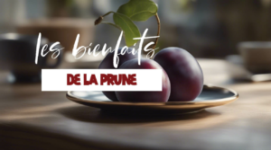 Tout savoir sur les bienfaits de la prune sur la santé