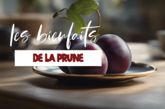 Tout savoir sur les bienfaits de la prune sur la santé