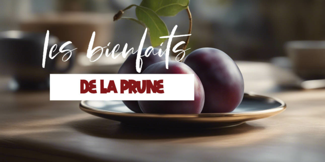 Tout savoir sur les bienfaits de la prune sur la santé