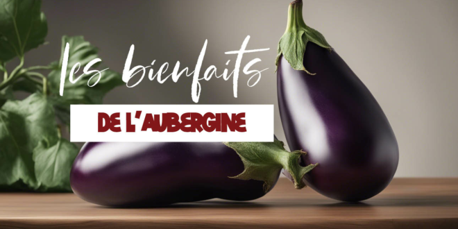 Tout savoir sur les bienfaits de l'aubergine sur la santé