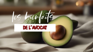 Tout savoir sur les bienfaits de l'avocat sur la santé