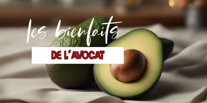 Tout savoir sur les bienfaits de l'avocat sur la santé