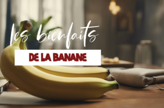 Tout savoir sur les bienfaits de la banane sur la santé