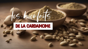 Tout savoir sur les bienfaits de la cardamome sur la santé