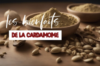 Tout savoir sur les bienfaits de la cardamome sur la santé