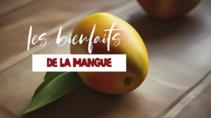 Tout savoir sur les bienfaits de la mangue sur la santé