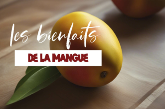 Tout savoir sur les bienfaits de la mangue sur la santé