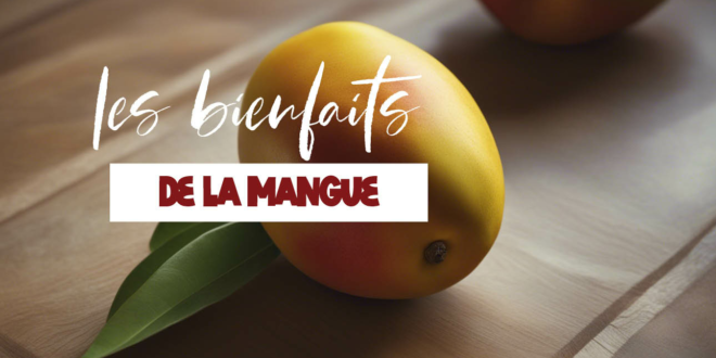 Tout savoir sur les bienfaits de la mangue sur la santé