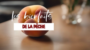 Tout savoir sur les bienfaits de la pêche sur la santé