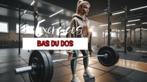 5 exercices pour muscler le bas du dos