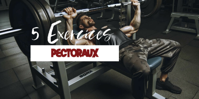 5 exercices pour muscler les pectoraux