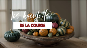 Tout savoir sur les bienfaits de la courge sur la santé