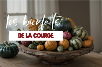 Tout savoir sur les bienfaits de la courge sur la santé