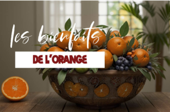 Tout savoir sur les bienfaits de l'orange sur la santé